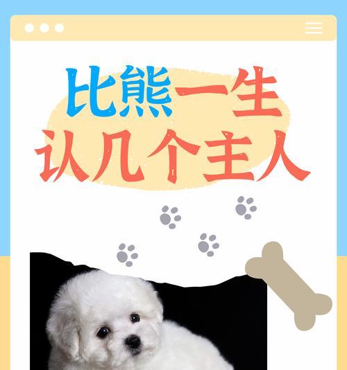 宠物陪伴对孩子性格发展的影响分析